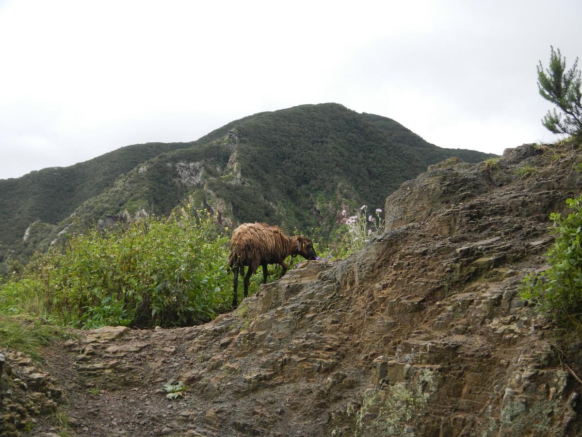 Albergue Montes De Anaga El Bailadero Eksteriør bilde